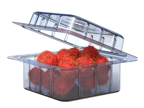 Rambutan Fruit Box Plastic Transparent 3D Model