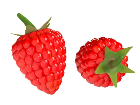 Raspberry Fruit 3D Model