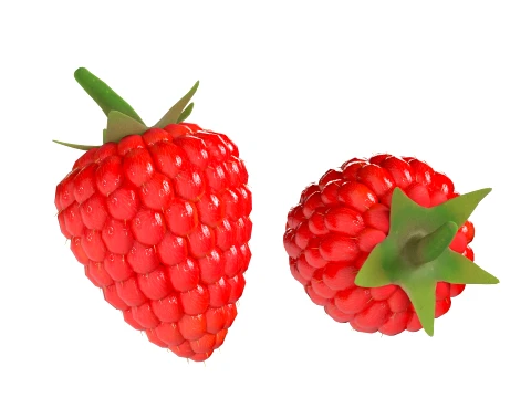 Raspberry Fruit 3D Model