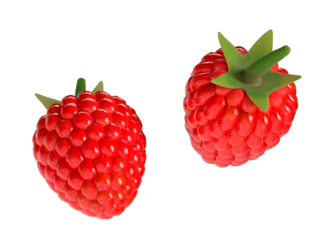 Raspberry Fruit 3D Model
