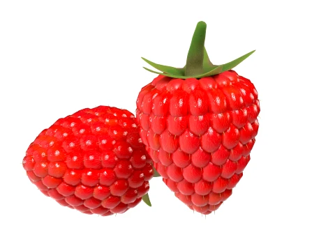 Raspberry Fruit 3D Model