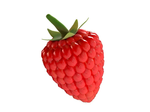 Raspberry Fruit 3D Model
