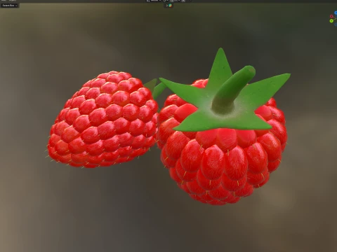 Raspberry Fruit 3D Model