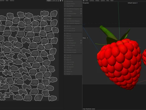 Raspberry Fruit 3D Model