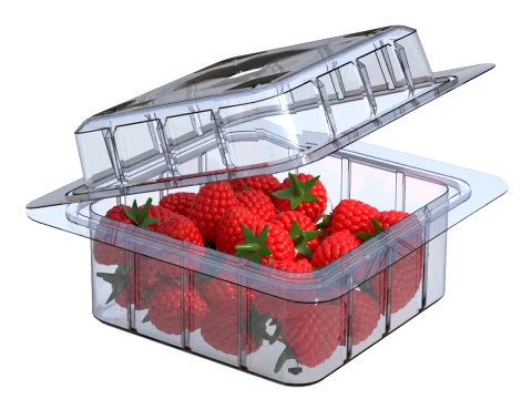 Raspberry Fruit Box Plastic Transparent 3D Model