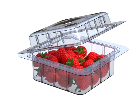 Raspberry Fruit Box Plastic Transparent 3D Model