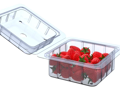 Raspberry Fruit Box Plastic Transparent 3D Model