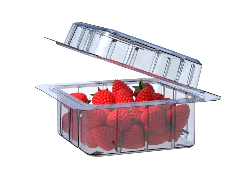 Raspberry Fruit Box Plastic Transparent 3D Model