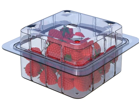 Raspberry Fruit Box Plastic Transparent 3D Model