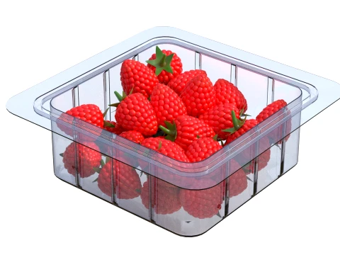 Raspberry Fruit Box Plastic Transparent 3D Model