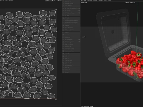 Raspberry Fruit Box Plastic Transparent 3D Model