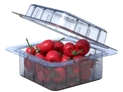 Rosehip Fruit Box Plastic Transparent 3D Model