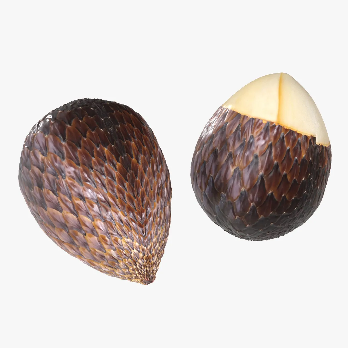 Salak Fruit 3D Model .c4d .max .obj .3ds .fbx .stl .blend