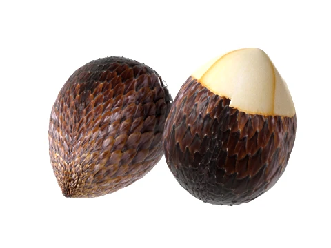 Salak Fruit 3D Model