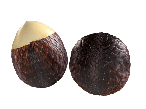 Salak Fruit 3D Model