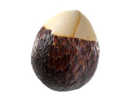 Salak Fruit 3D Model
