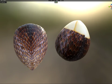 Salak Fruit 3D Model