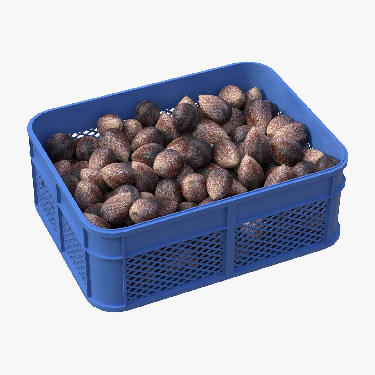 Salak Plastic Crate 3D Model .c4d .max .obj .3ds .fbx .stl .blend 