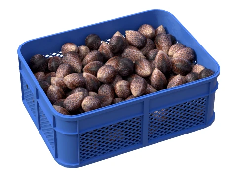 Salak Plastic Crate 3D Model