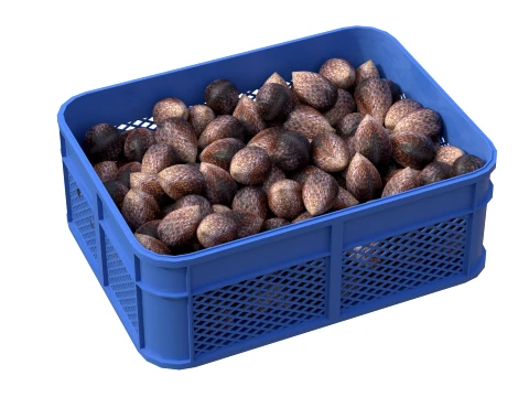 Salak Plastic Crate 3D Model