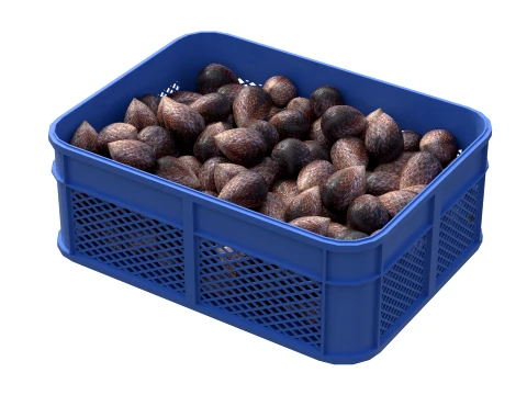 Salak Plastic Crate 3D Model