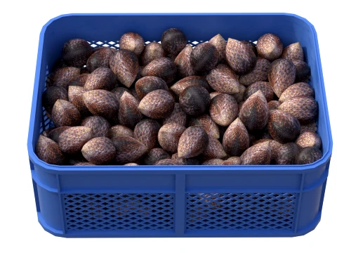 Salak Plastic Crate 3D Model