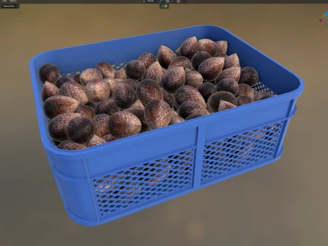Salak Plastic Crate 3D Model