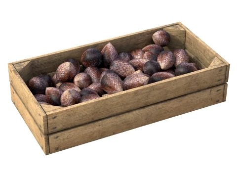 Salak Wooden Crate 3D Model