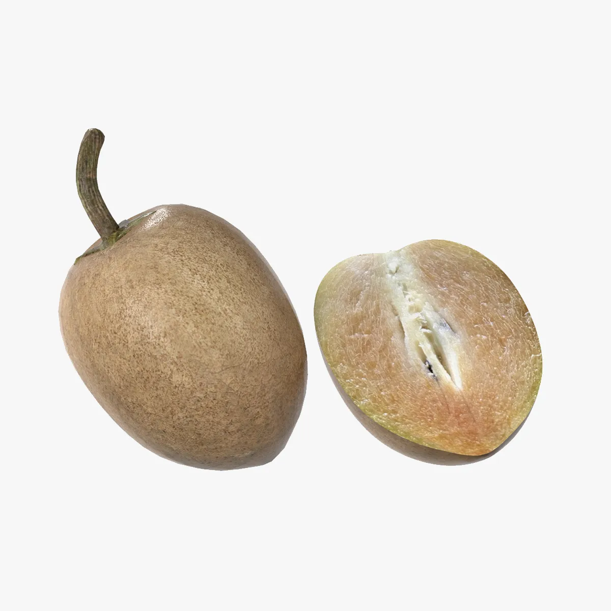 Sapodilla Fruit 3D Model .c4d .max .obj .3ds .fbx .stl .blend 