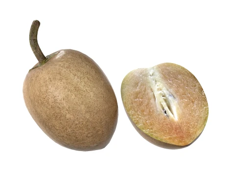 Sapodilla Fruit 3D Model