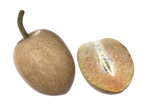 Sapodilla Fruit 3D Model
