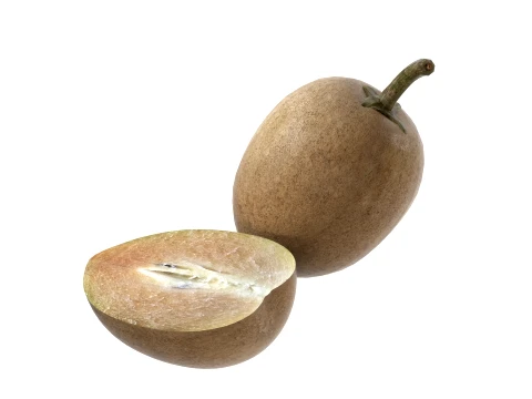 Sapodilla Fruit 3D Model