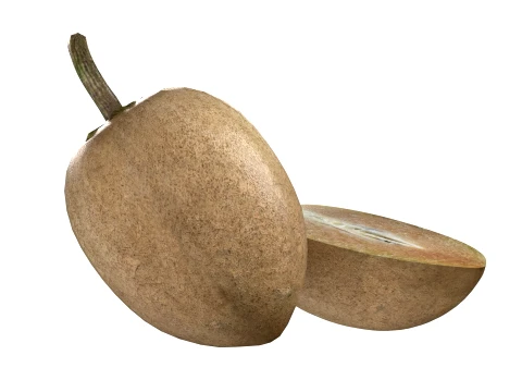 Sapodilla Fruit 3D Model