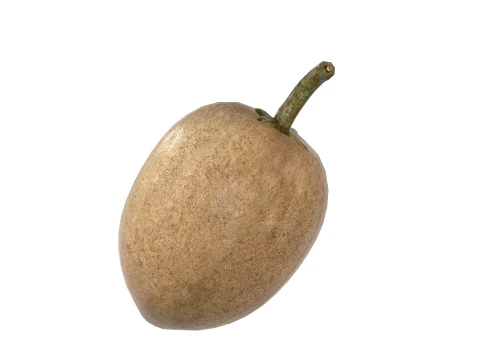 Sapodilla Fruit 3D Model