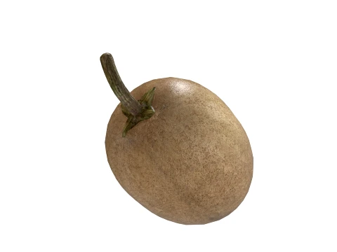 Sapodilla Fruit 3D Model