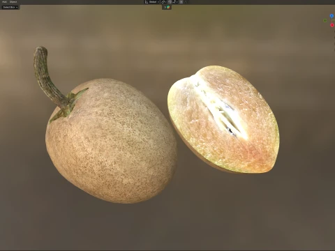 Sapodilla Fruit 3D Model