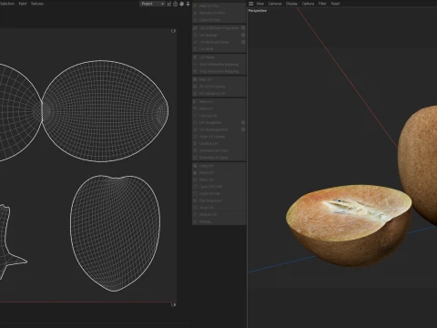Sapodilla Fruit 3D Model