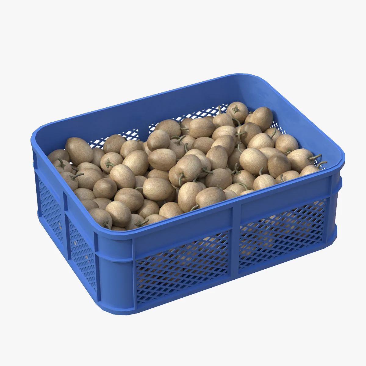 Sapodilla Plastic Crate 3D Model .c4d .max .obj .3ds .fbx .stl .blend 