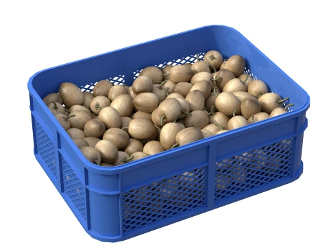 Sapodilla Plastic Crate 3D Model