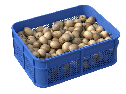 Sapodilla Plastic Crate 3D Model