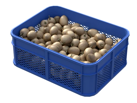 Sapodilla Plastic Crate 3D Model