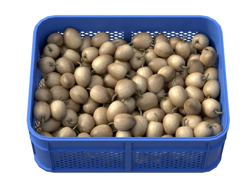 Sapodilla Plastic Crate 3D Model