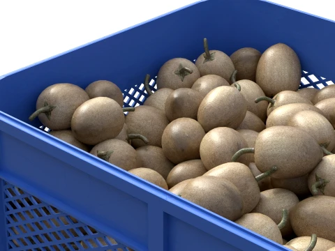 Sapodilla Plastic Crate 3D Model