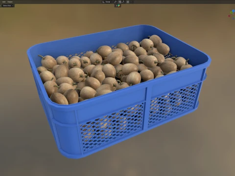 Sapodilla Plastic Crate 3D Model