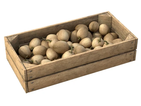Sapodilla Wooden Crate 3D Model
