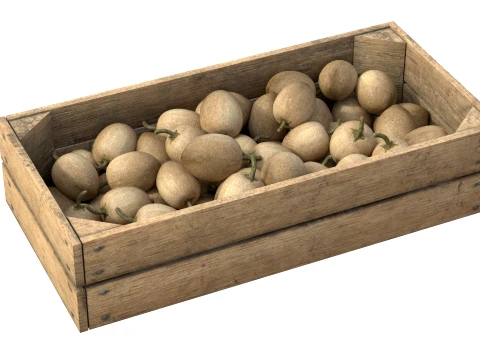 Sapodilla Wooden Crate 3D Model