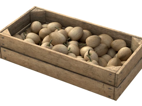 Sapodilla Wooden Crate 3D Model
