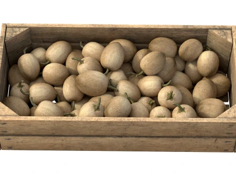 Sapodilla Wooden Crate 3D Model