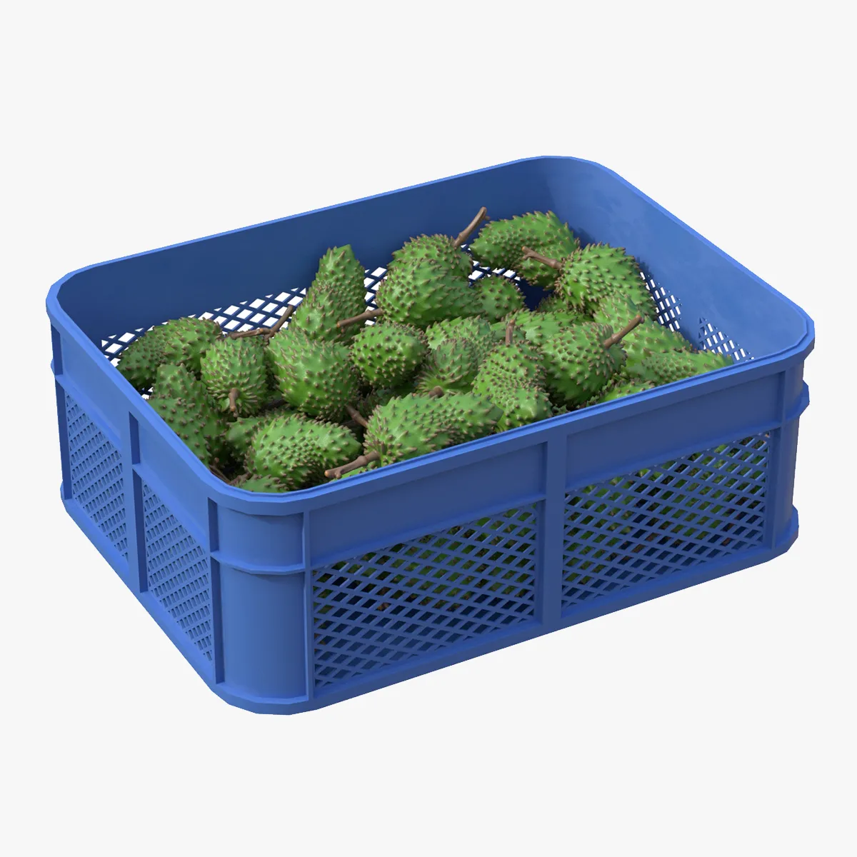 Soursop Plastic Crate 3D Model .c4d .max .obj .3ds .fbx .stl .blend 