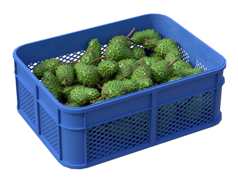 Soursop Plastic Crate 3D Model